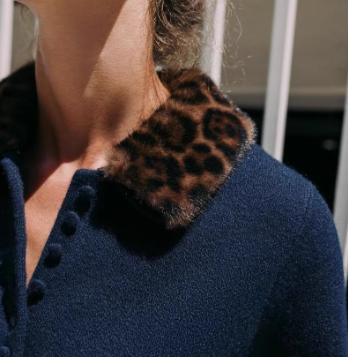 3de0b0b7 Dd3a 4da1 Baca E24992be356c